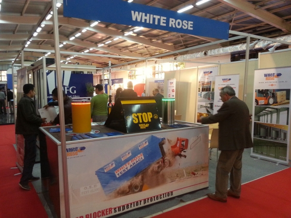 White Rose Was at the Best Algeria 5 Fair 