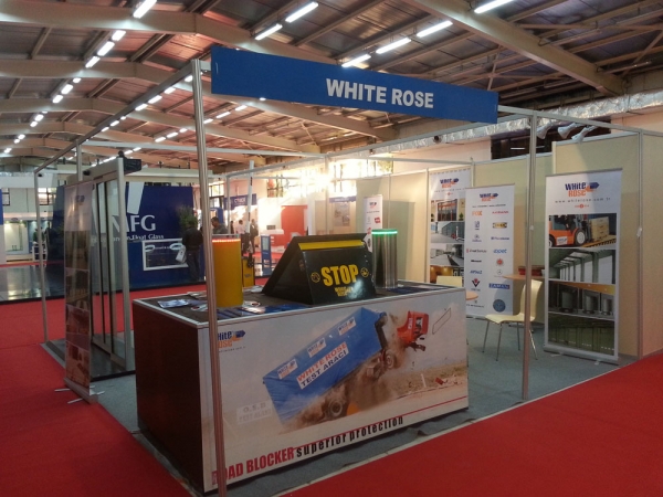 White Rose Was at the Best Algeria 5 Fair 