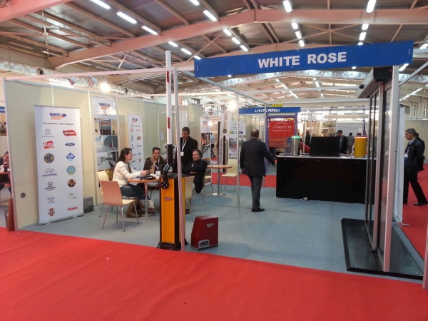 White Rose Was at the Best Algeria 5 Fair 