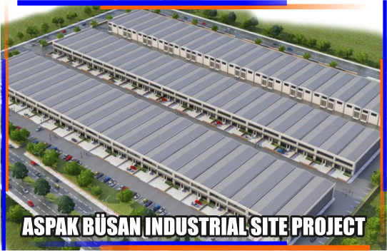 Aspak Büsan Preferred White Rose in 69 Factory Project