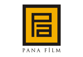 Pana Film - Doors With Photocell